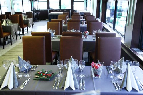 schiff-rheintreue-salon1 MS Rhein Treue - BFF GmbH & Co. KG